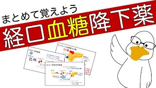 単発解説 7. 経口血糖降下薬【管理栄養士国家試験対策】