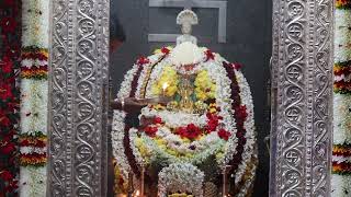 shree vadanabail padmavathi devi mahamangalarathi date 30-12-2024