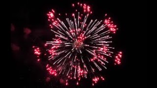 2020 高崎HANABIコンクール 競技花火【No.5「花競い」】Takasaki Fireworks Competition 2020