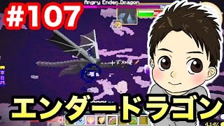 【新マスオのマインクラフト】アングリーエンダードラゴンに挑戦！#107