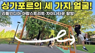 🇸🇬 싱가포르 3색 매력! 인도, 중동, 중국 문화를 한 번에!  【싱가포르1】