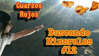 Espectaculares Cristales de Cuarzo 💎✨ - Buscando Minerales 12 ⚒