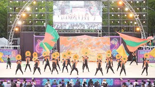 [4K] 富有樂猩　にっぽんど真ん中祭り 2024 どまつり 土曜日