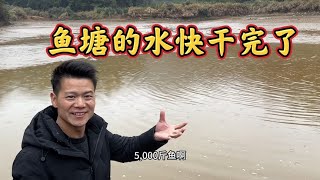 价值三万的鱼塘放水后各种野货纷纷出现，就是这个鱼情心里没底了