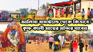 মায়ের নতুন মন্দিরে কিভাবে যাবেন আলিসা বাসস্ট্যান্ড থেকে | জয় কৃষ্ণ কালী মায়ের জয় | Krishna Kali maa