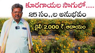 కూరగాయల సాగులో 25 సం,,అనుభవం || డైలీ 2,000 ₹ ఆదాయం || Mana kisan (మన రైతు)