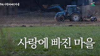 나무와 사랑에 빠진 마을(세종특별자치시 전의면)