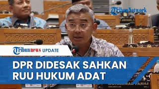 NasDem TEGAS! Minta Kekerasan di Rempang Dihentikan dan Desak DPR Sahkan RUU Masyarakat Hukum Adat