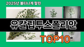 유칼립투스폴리안 없으면 안되는 쿠팡추천템 BEST 10