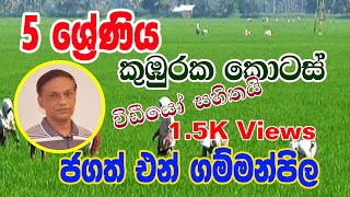 කුඹුරක කොටස් | Jagath N Gammanpila | Ape Panthiya | Yuthukama