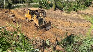 Advantages of the D6R XL Bulldozer Forms a Terrace in Oil Palm Plantations