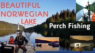 Perch Fishing #Abbor_Fiske Norway. Sigernessjøn Kongsvinger