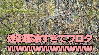 【2ch】迷彩服凄すぎてワロタｗｗｗｗｗｗｗｗｗｗｗｗｗｗｗ