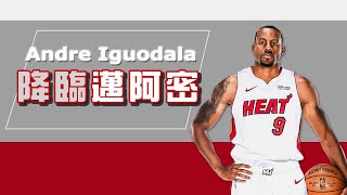 NBA話題｜就是不幫灰熊打？｜Iguodala 降臨邁阿密！