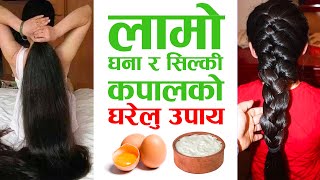 लामो सिल्की र घना कपाल कसरी बनाउने घरेलु उपाय | How To Get Long, Silky and Thick Hair at Home