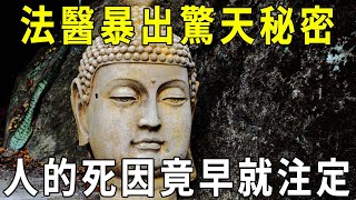 因果不虛！一位法醫的震撼報告，人的死因早就注定了！醫學解釋的死亡現象，都只是皮毛！【曉書說】