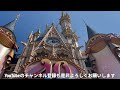 【ディズニーランドの植物】ドライガーデン好きが見るポイントはここだ！大人も楽しめるディズニーランド！