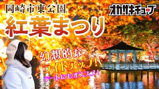 【岡崎随一の紅葉ライトアップがすごい！】岡崎市東公園の紅葉まつり