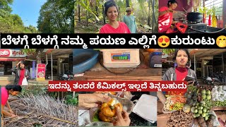 ಬೆಳಗ್ಗೆ ಬೆಳಗ್ಗೆ ನಮ್ಮ ಪಯಣ ಎಲ್ಲಿಗೆ😍ಕುರುಂಟು🤭|ಇದನ್ನು ತಂದರೆ ಯಾವುದೇ ಕೆಮಿಕಲ್ಸ್ ಇಲ್ಲದೆ ತಿನ್ನಬಹುದು|Kannadavlog