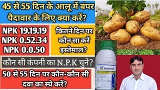 आलू की बंपर पैदावार के लिए!NPK 0.52.34 का कैसे करें इस्तेमाल? दूसरे स्प्रे पर कौन-कौन से फंगीसाइड?