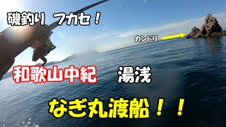 磯釣り！フカセ！グレ、何とか釣りたい！w水温低下！チヌのシーズン到来か！