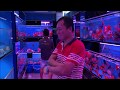 LIOW VIDEO: New fish arrived at Rainbow Aquarium 金鱼新货到