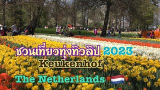 ชมทิวลิปที่สวยที่สุด🌷ต้องที่เนเธอร์แลนด์🇳🇱ชวนเที่ยวสวนทิวลิปปี 2023 #vlog #youtube #nature #tour