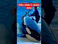 Killer whale 🐳 attack story seaworld #viral #video #seaworld #shorts #youtube #youtubeshorts