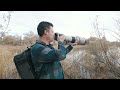 this bag punches way above it s class for wildlife photography