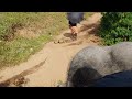 munnar vlog 3 ആന സഫാരി carmelagiri elephant park amazing elephant safari