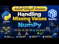 Handling Missing Values in NumPy | NumPy Tutorial in Telugu | Python for Data Analysis
