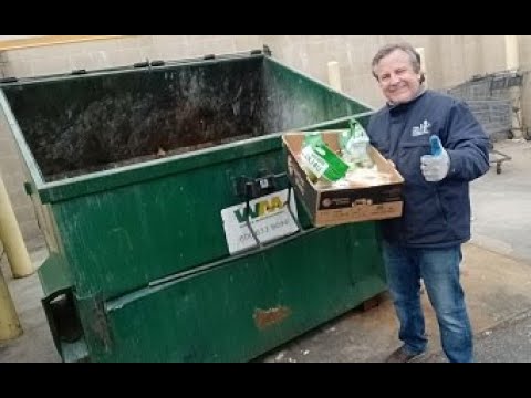 When The Dumpsters Give You Exactly What You Were Hoping For Dumpster