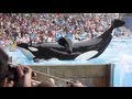 Blackfish - Official Trailer