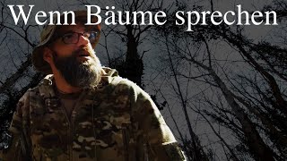 Wenn Bäume sprechen oder die Kommunikation der Bäume