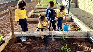 La tomatera en Arona