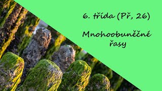 6. třída (Př, 26) - Mnohobuněčné řasy