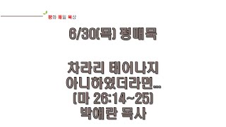 2022.06.30.차라리 태어나지 아니하였더라면...(박애란 목사)