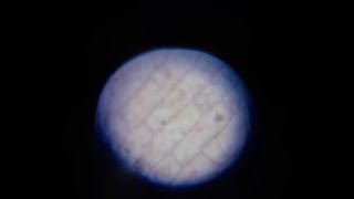 Watching a temporary slide under a toy microscope | innovative intellispace