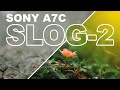 Sony A7C Best Slog-2 Settings | Sample footage