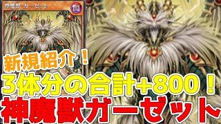 【ラッシュデュエル】新規紹介！神魔獣ガーゼット！３体リリースで打点の上がるレベル8！！！【遊戯王】