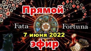 Ситуация по Украине 7 июня 2022. Разные вопросы.