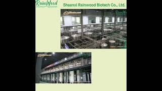 Rainwood supply high quality Cnidium Fruit Extract 10%-98% on sale