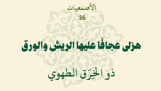 الأصمعيات 36: هزلى عجافًا عليها الريش والورق - ذو الخرق الطهوي