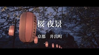 PILOT FLY ADVENTURER　京都 井出 玉川 桜夜景