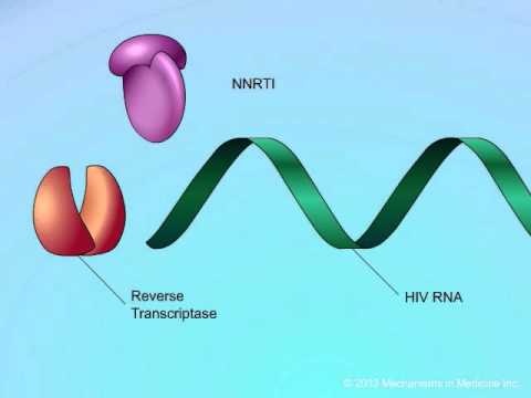 What is the mechanism of action of delavirdine?