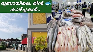 ഏറ്റവും വലിയ മീൻ ചന്ത 🐟 | Dubai Fish Market 2020 | Fish Market in Dubai