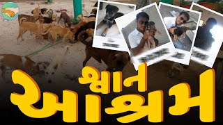 Sadbhavna Dog Ashram (Shelter for Dogs), Rajkot | સદભાવના શ્વાન આશ્રમ, રાજકોટ 🐾