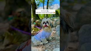 Princes ko dhek k sab iske diwane ho jate hai 😘😘#love #dog #trending #viral #youtubeshorts #shorts