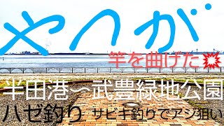 知多半島　半田港〜武豊緑地公園　ハゼ釣り　アジ狙いのサビキ釣り　ヤツが現れた⁉️