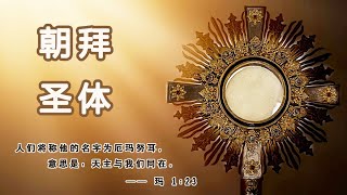 23/01/2025 - 圣体降福 - 慈母传声电台